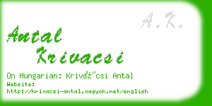 antal krivacsi business card